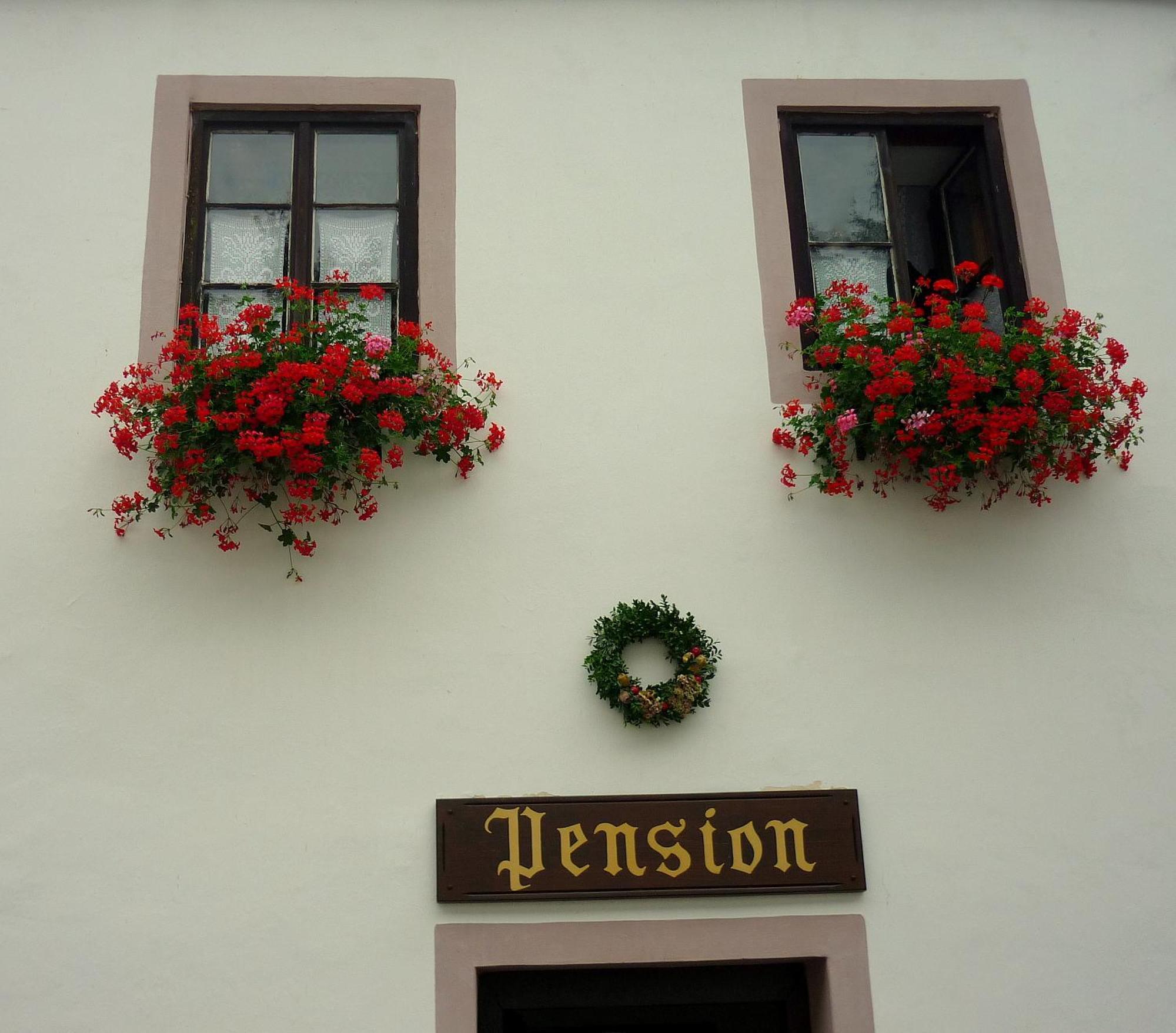 Pension Plesivecka 119 Cesky Krumlov Exterior photo