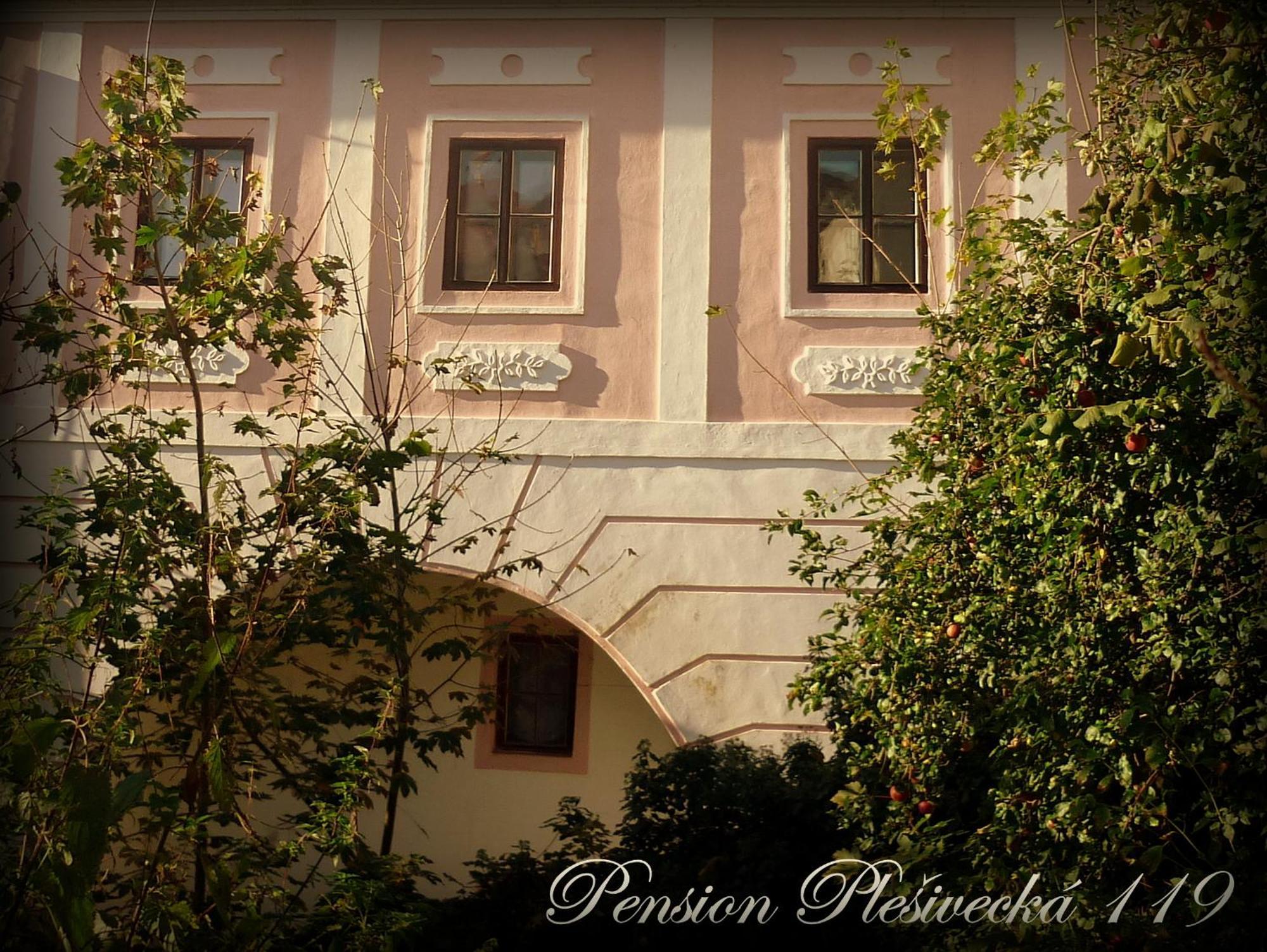 Pension Plesivecka 119 Cesky Krumlov Exterior photo